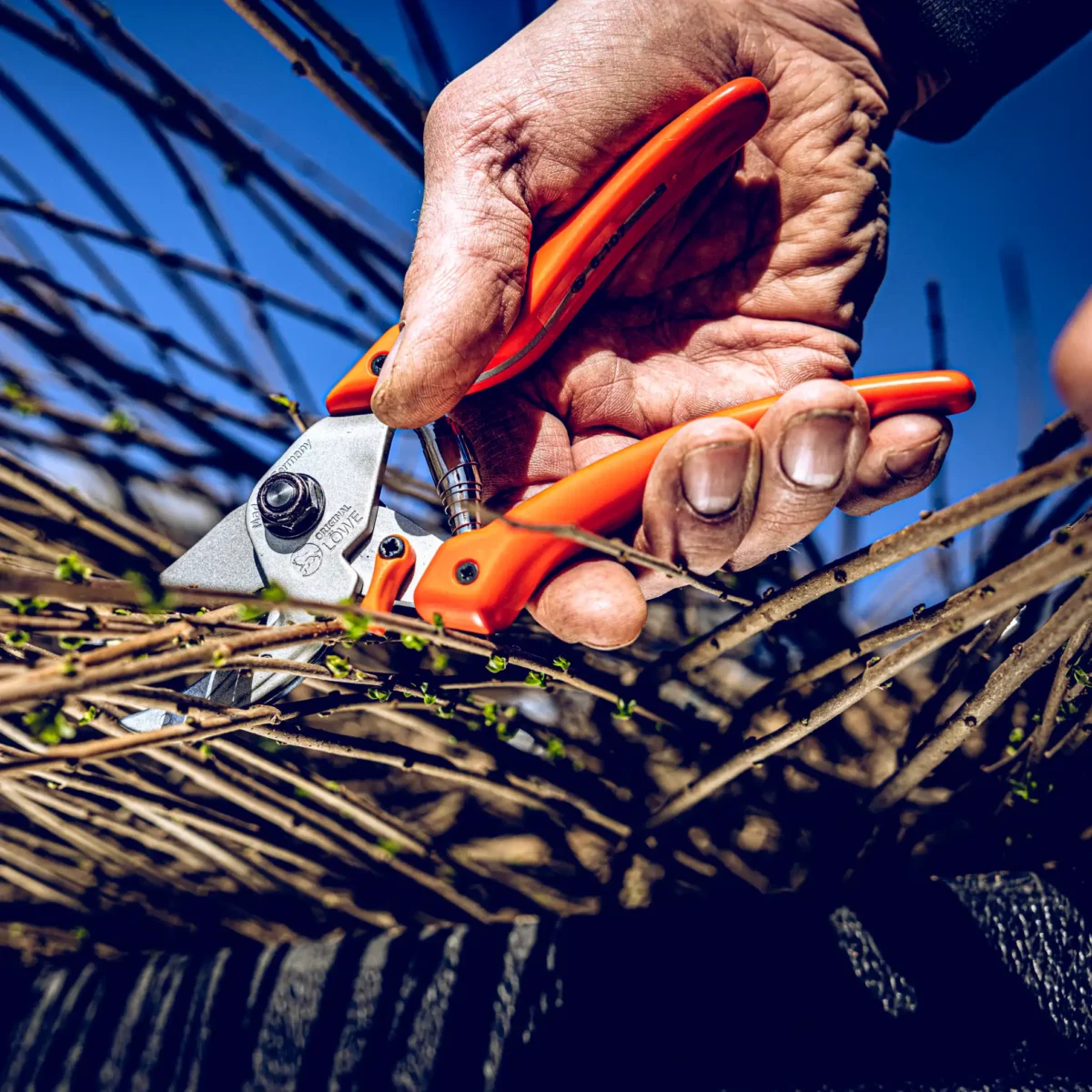 Gartenschere Original Löwe Professional Power Cut 8.104