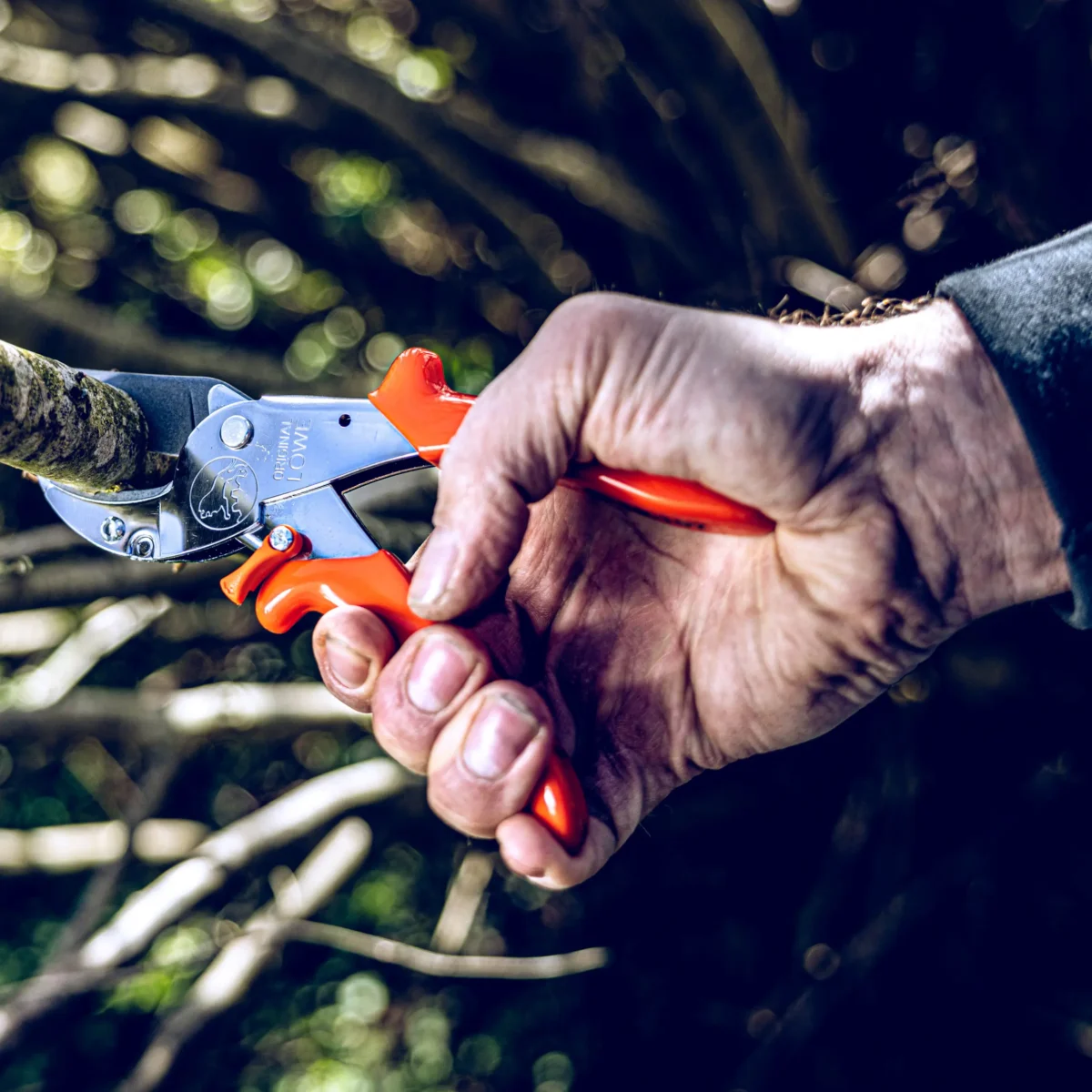 Amboss Gartenschere Werkstattschere große Äste