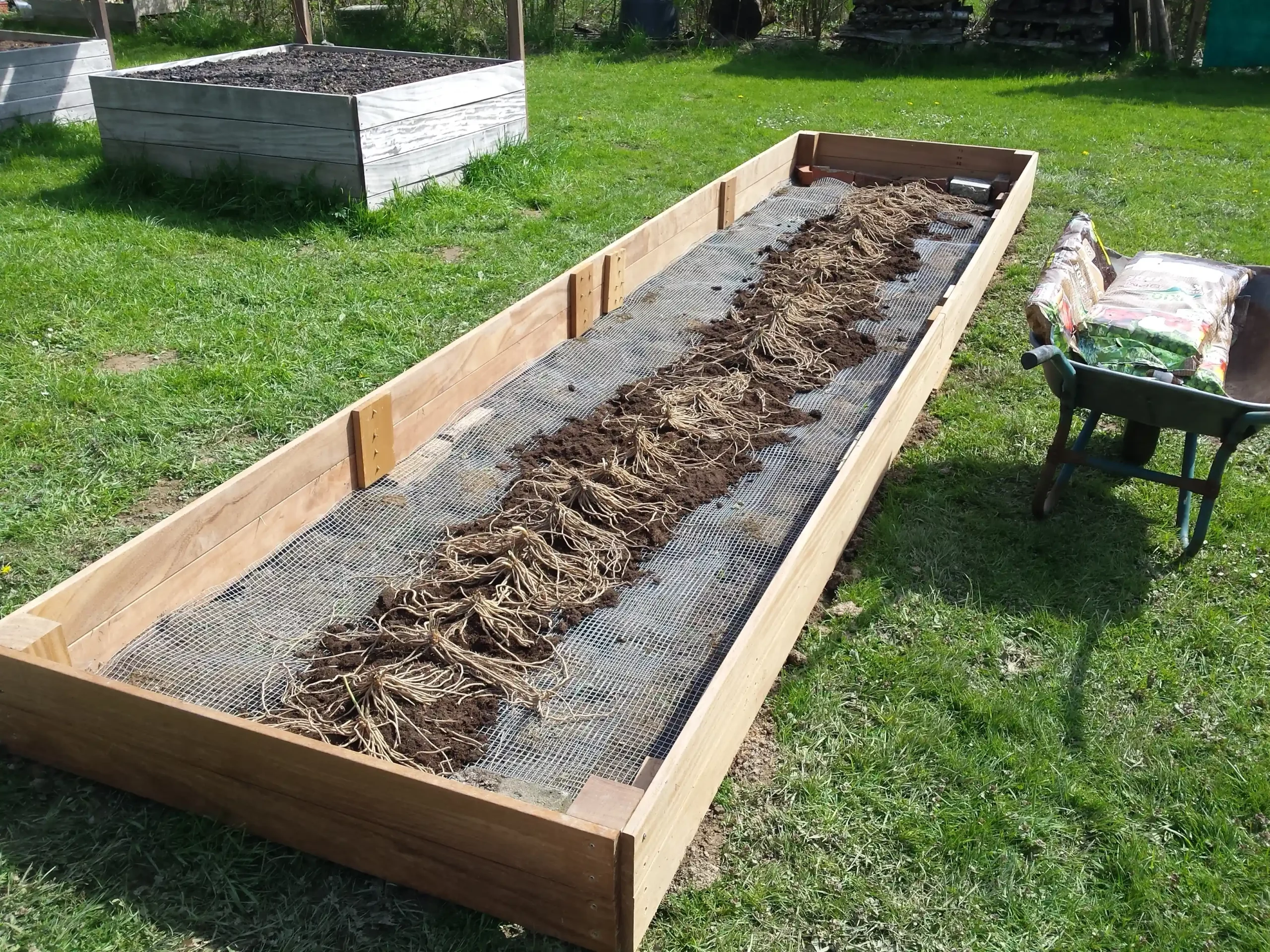 Spargel im Hochbeet anbauen — Spargelbeet anlegen