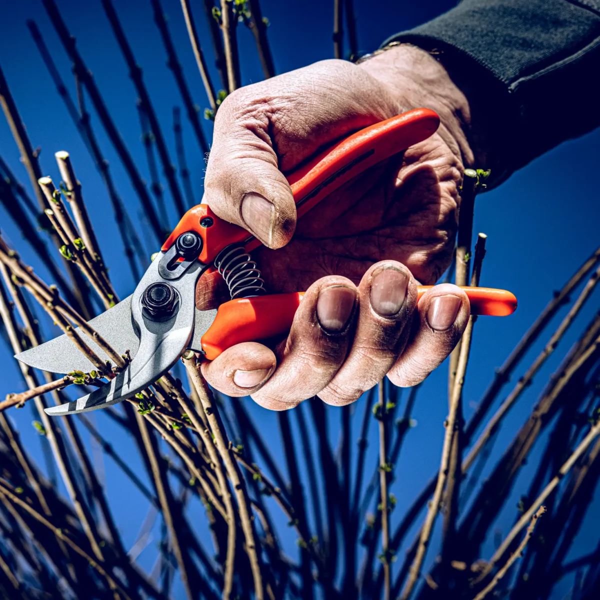 Gartenschere Löwe 14.107 Economic Clean Cut für kleinere Hände