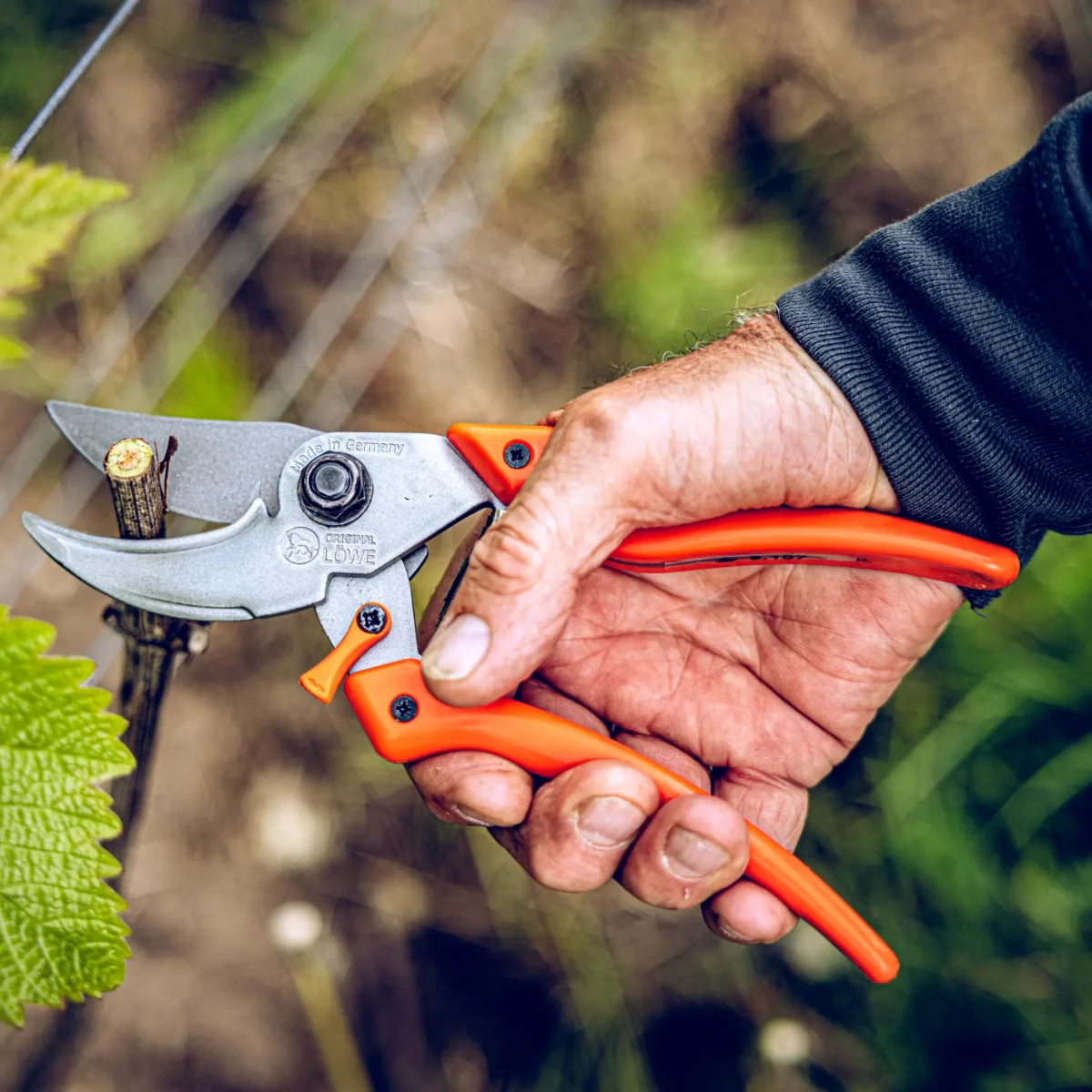 Gartenschere Löwe 9.107 Bypass Professional Clean Cut