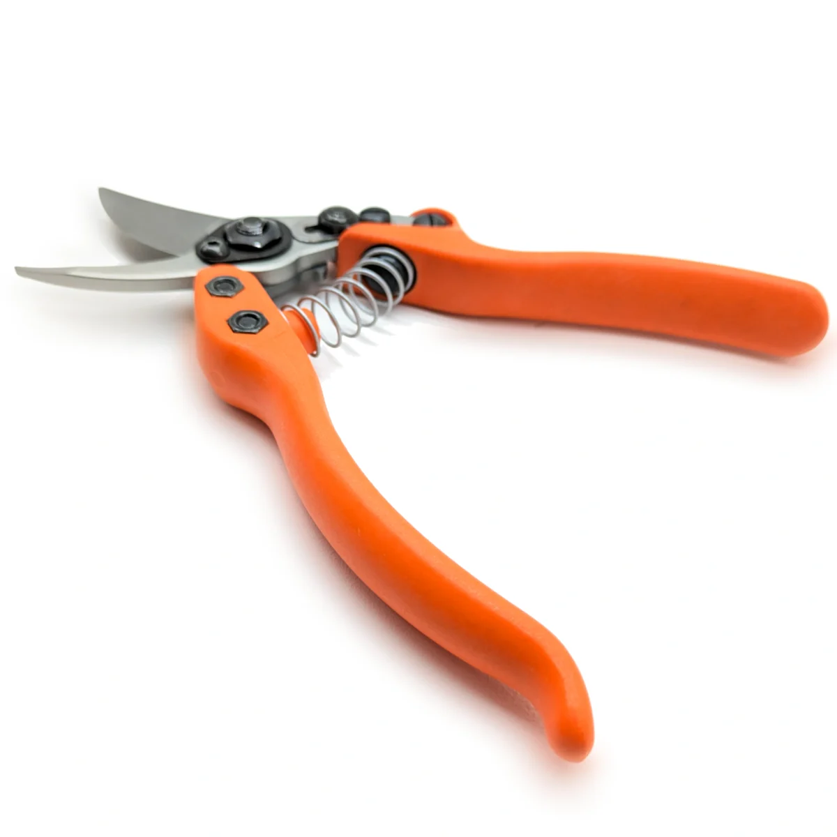 Löwe 12 Precision Clean Cut kleine Gartenschere für Frauen
