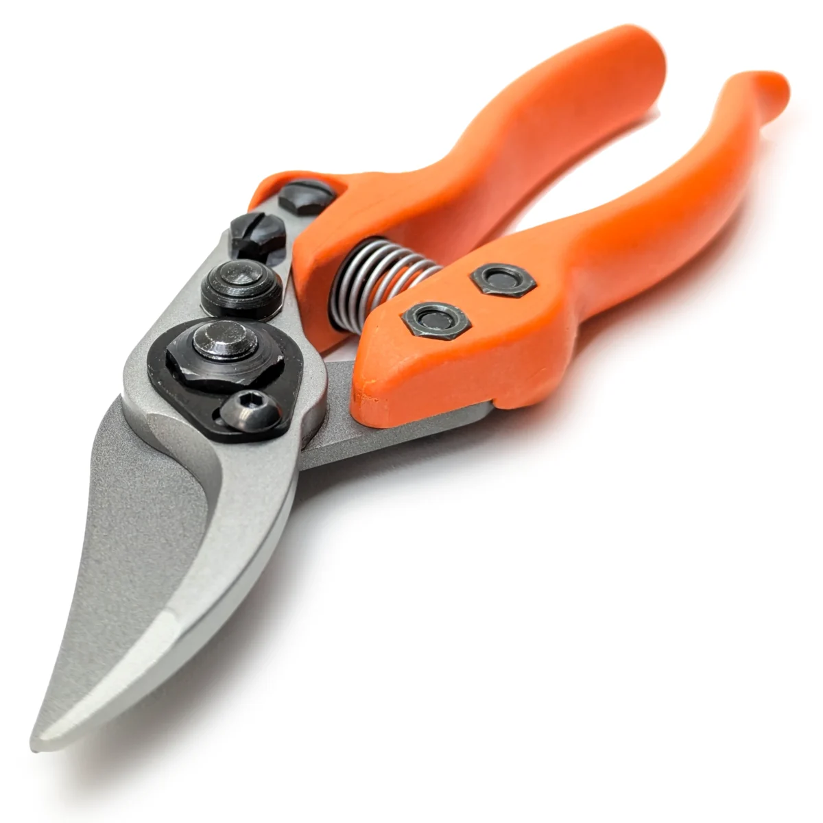 Löwe 12 Precision Clean Cut kleine Gartenschere für Frauen