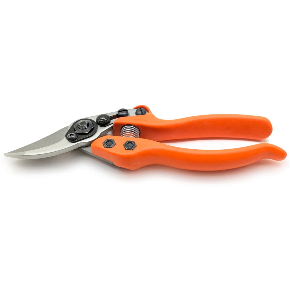 Löwe 12 Precision Clean Cut kleine Gartenschere für Frauen