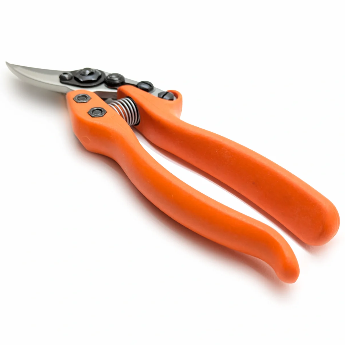 Löwe 12 Precision Clean Cut kleine Gartenschere für Frauen