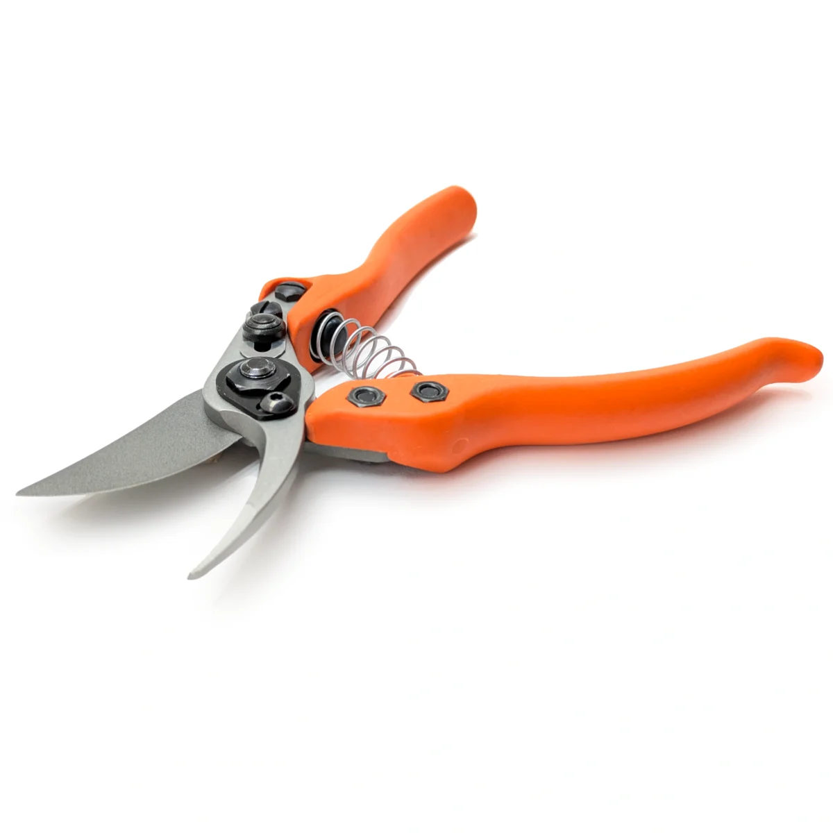Löwe 12 Precision Clean Cut kleine Gartenschere für Frauen