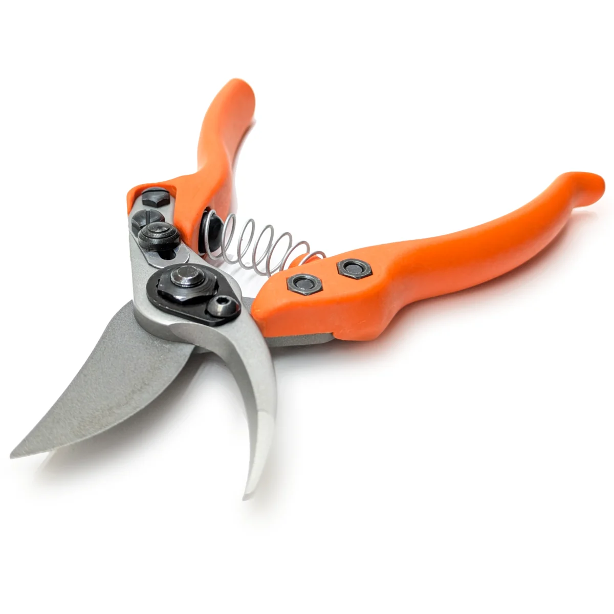Löwe 12 Precision Clean Cut kleine Gartenschere für Frauen