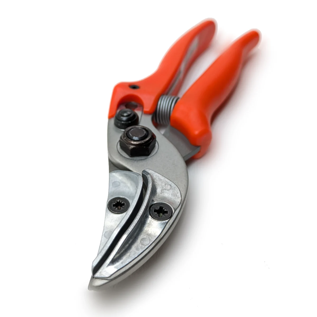 Original Löwe Rosenpräsentierschere