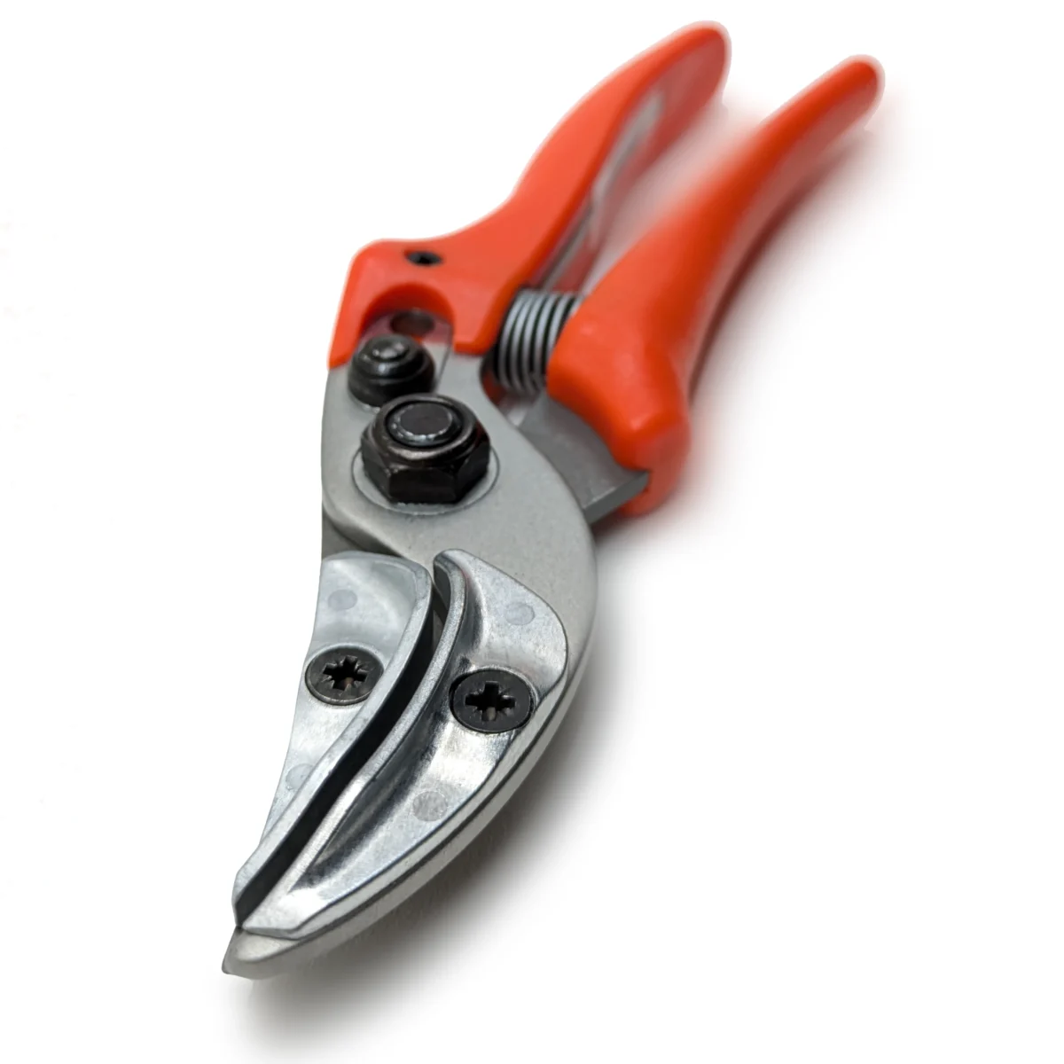 Original Löwe Rosenpräsentierschere